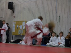 2013 03 05 - 032 Per Ottosson